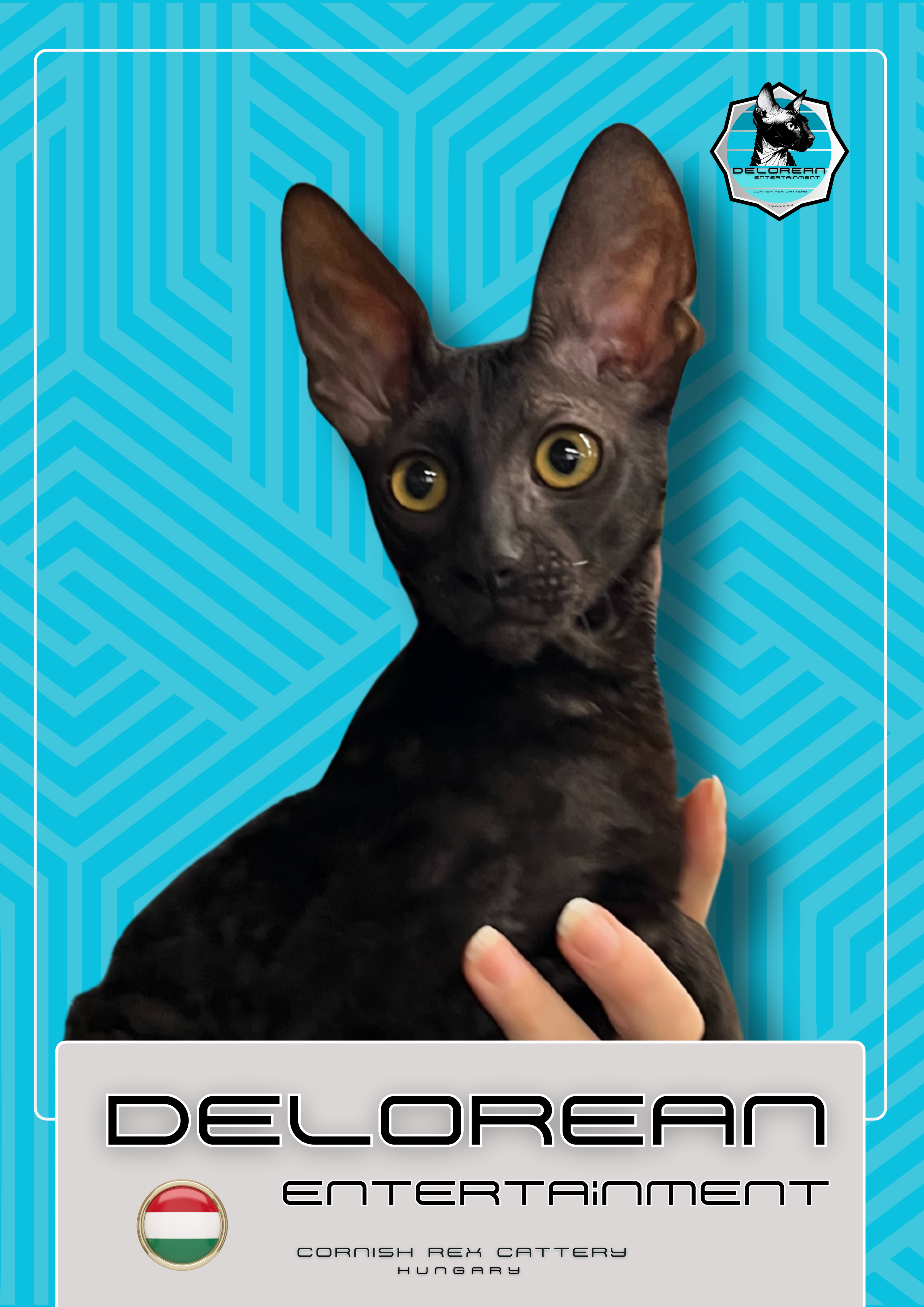 Triple Master, JCH. DeLorean Entertainment Gerard